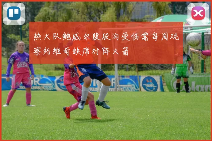 热火队鲍威尔腹股沟受伤需每周观察约维奇缺席对阵火箭
